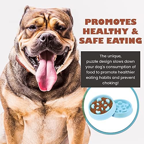 איטי מזין כלב קערה, מונע צריכת יתר של מזון & מגבר; חנק / פאזל מזינים לכלבים, מזון בטוח חומר, קל לניקוי |